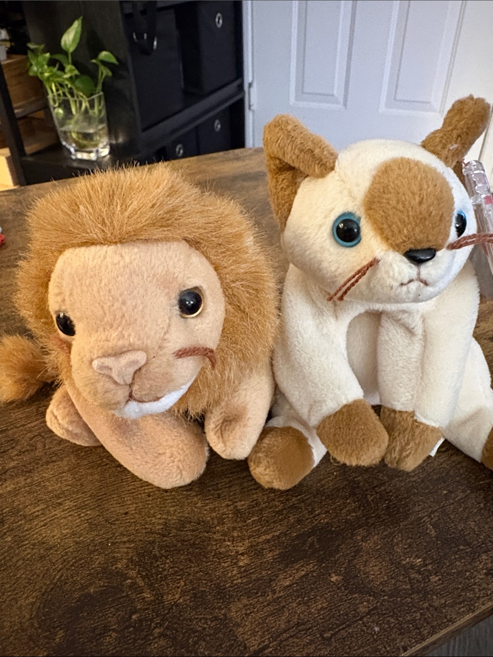 Roary the Lion and Snip the Siamese Cat